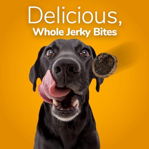 Fruitables Whole Jerky Dog Treats | Jerky Treats for Dogs | Gluten Free, Grain Free, Wheat Free | Made with Premium Meat and No Added Fillers | Grilled Bison and Apple | 5 Ounces