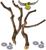 kathson Natural Parrot Perch Bird Stand Pole Wild Grape Stick Paw Grinding Fork Parakeet Climbing Standing Branches Toy Chewable Cage Accessories for Small Budgies Cockatiels Lovebirds 3PCS