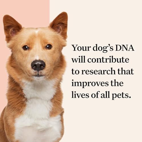 Wisdom Health Panel Premium Dog DNA Kit: Most Comprehensive with 265+ Health Tests, Identify 365+ Dog Breeds, 50+ Traits, Relatives, Ancestry, Genetic Diversity - Pack of 1