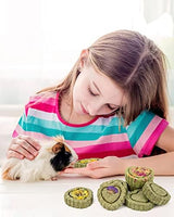 Sofier 28Pcs Timothy Hay Treats Rabbit Toys Bunny Toys Guinea Pig Toys Natural Handmade Treats and Chews for Small Animals Hamster Chinchilla Rat Gerbil