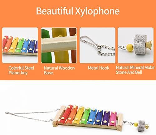 Swing Toys Xylophone, 2pcs Chicken Toys for Poultry Run, Rooster Hens Chicks Pet Parrots Macaw Entertainment, Stress Relief for Birds