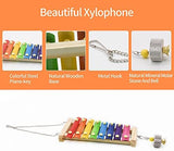 Swing Toys Xylophone, 2pcs Chicken Toys for Poultry Run, Rooster Hens Chicks Pet Parrots Macaw Entertainment, Stress Relief for Birds