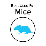 Victor Quick Kill Mouse Trap (Pack of 12 traps) Easy to Set mouse trap