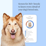 Wisdom Health Panel Breed Discovery Dog DNA Kit: Most Accurate Dog Breed Identification, Test for 365+ Breeds, MDR1 Health Test, Ancestry, Relatives