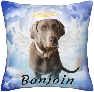 Personalized Pet Memorial Throw Pillow with Photo Pet Memorial Gifts for Dogs Cats Loss of Dog Sympathy Gift
