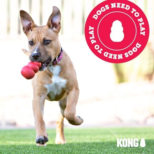 KONG Puppy - Natural Teething Rubber Chew Toy for Dogs - Stuffable Dog Toy for Extended Playtime - Chew & Fetch Toy for Puppies - for Medium Puppies - Blue