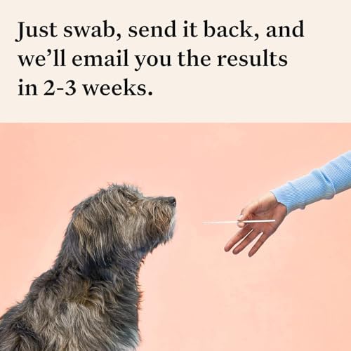 Wisdom Health Panel Premium Dog DNA Kit: Most Comprehensive with 265+ Health Tests, Identify 365+ Dog Breeds, 50+ Traits, Relatives, Ancestry, Genetic Diversity - Pack of 1