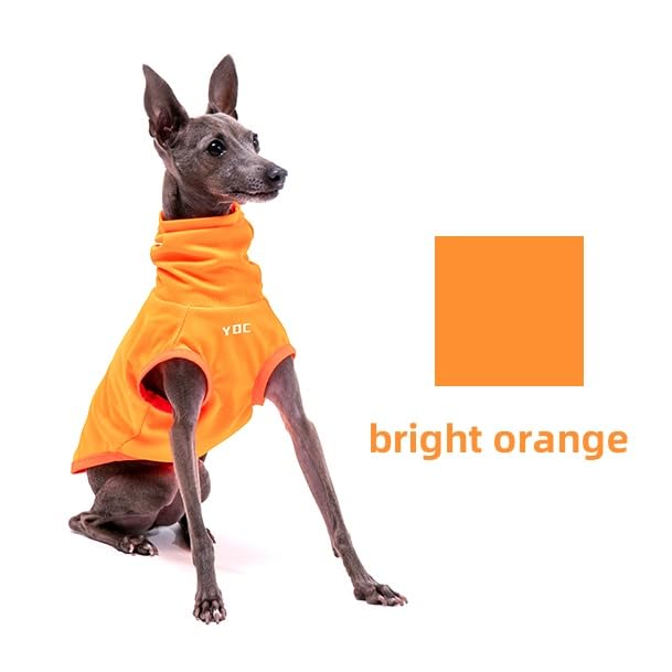 Italian Greyhound Clothes, Lightweight & Breathable Sun Protection Tank Tops for Italian Greyhound and Whippets Dogs (Green, X-Small)