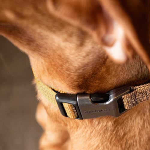 Carhartt Fully Adjustable Nylon Webbing Collars for Dogs, Reflective Stitching for Visibility, Light Moss (Nylon Webbing), Large