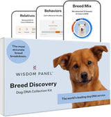 Wisdom Health Panel Breed Discovery Dog DNA Kit: Most Accurate Dog Breed Identification, Test for 365+ Breeds, MDR1 Health Test, Ancestry, Relatives