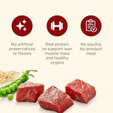 Nutrish Real Beef, Pea & Brown Rice Recipe Whole Health Blend Dry Dog Food, 14 lb. Bag, Packaging May Vary (Rachael Ray)