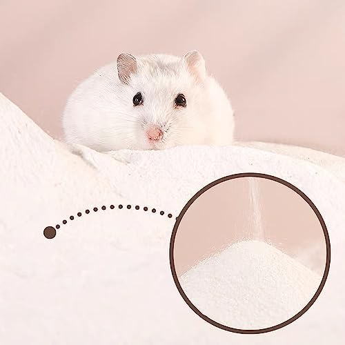 DR.DUDU Hamster Bath Sand, 12lb Dust Free Desert Sand or Potty Litter Sand for Hamster Chinchillas Gerbil Syrian Mice Small Animals (White)