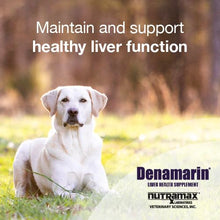 Load image into Gallery viewer, Nutramax Denamarin Liver Health Supplement for Dogs, With S-Adenosylmethionine (SAMe) and Silybin, 30 Chewable Tablets
