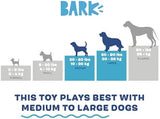 Barkbox 2 in 1 Interactive Plush Dog Toy - Rip and Reveal Toy for Dogs and Puppies - Stimulating Squeaky Pet Toys | Consuela Cactus (Large)