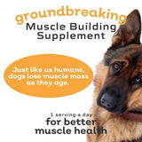 MYOS Canine Muscle Formula - All-Natural Muscle Building Supplement - Helps Reduce Muscle Loss in Dogs Due to Normal Aging and Improves Recovery from Injury or Surgery