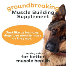 Load image into Gallery viewer, MYOS Canine Muscle Formula - All-Natural Muscle Building Supplement - Helps Reduce Muscle Loss in Dogs Due to Normal Aging and Improves Recovery from Injury or Surgery
