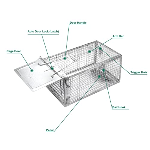 SZHLUX 2-Pack Rat Trap, Humane Mouse Traps Work for Indoor and Outdoor,Small Rodent Animal-Mice Vole Chipmunk Hamsters Live Cage,Catch and Release(SZ-SL2614X2S)
