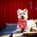 10PCS Dog Bandanas Happy New Year for Large Breed Dog XL XXL Kerchief Triangle Bibs Head Scarves for Boys and Girls Grooming Costume