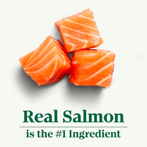 NUTRO WHOLESOME ESSENTIALS Adult Natural Dry Cat Food Salmon & Brown Rice Recipe, 3 lb. Bag