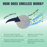 SMELLEZE Dead Animal Odor Eliminator for Strong Odor Removal - Eliminate Dead Rodent & Wildlife Smell - Safe Indoor & Outdoor Use, Natural Odor Remover, Fresh & Effective - 1 Pouch.