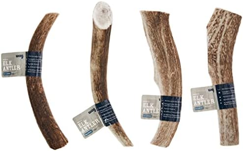 Amazon Brand - Wag Elk Antler - Whole - X-Large 9.5-10.5 inches (Best for Dogs over 45 lbs)