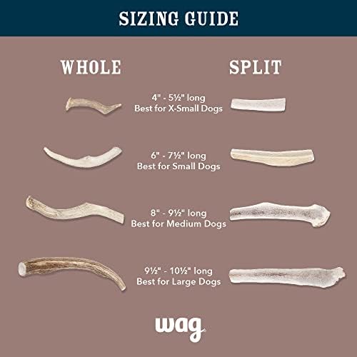 Amazon Brand - Wag Dog Deer Antler Chew, Naturally Shed, Whole, Large 8-9.5 inches (Best for Dogs 30-45 lbs), 3.20 Ounce (Pack of 1)