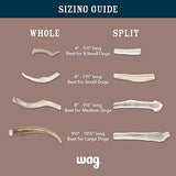Amazon Brand - Wag Dog Deer Antler Chew, Naturally Shed, Whole, Large 8-9.5 inches (Best for Dogs 30-45 lbs), 3.20 Ounce (Pack of 1)