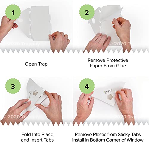 Trappify Fly Traps Indoor for Home - Window Fly Traps - House Window Fruit Fly Traps for Indoors, Gnat - Disposable Indoor Fly Trap with Extra Sticky Adhesive Strips - Inside Bug Catchers (24)