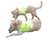 Funtone Colors Dog Reflective Vest - Comfortable Jacket Safety Hunting, High Visibility for Dogs with Elastic Straps and Clasp Closure-Orange, Medium