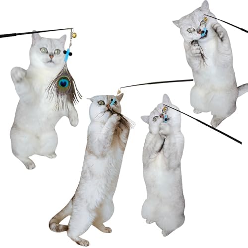 Interactive Cat Toys - 10 PCS Cat Retractable Wand Toy and Feather Toys Refills, Cat Enrichment Toys for Indoor Cats,Feather Cat Toys on a Stick,Cat Toy Small Feather Insects