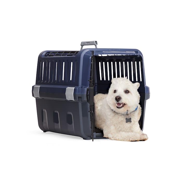 EveryYay by Petco 2-Door Pet Kennel Small 23" L X 15.4" W X 15.8" H Navy & Grey