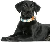 Rnivvi Dog Collar for Large Dogs, Cute Heavy Duty Adjustable Puppy Collar with Quick Release Buckle for Boy Girl & Female, Pet Accessories for Walking Running, L Length 1" Width, Abstract Leaves