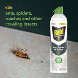 Raid Essentials Ant Spider, and Roach Killer Aerosol Spray, Child & Pet Safe, Kills Insects Quickly, 10 Ounce, 6 Pack (6), 331877