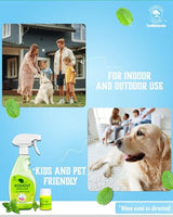 Gardenix Decor EcoNaturals Rodent Repellent Spray - 16oz + 1oz Concentrate for 2nd Bottle; Indoor/Outdoor Natural Peppermint Oil Spray. Rat Repellent Peppermint Oil to Repel mice and Rats.