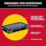 Catchmaster Scorpion Glue Tray Traps 6-Pack, Adhesive Scorpion Killer for Home, Simple Insect Traps Indoor, Sticky Bug Catcher for Kitchen, Garage, & Basement, Pet Safe Pest Control Glue Trap