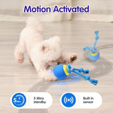 Interactive Dog Toys Electric Dog Ball Touch Wake-up with Dogs Chirping Rechargeable Toys Indoor & Outdoor Fun