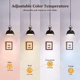 MagicLight Smart Light Bulbs 4 Pack A19/E26 Color Changing 60W Equivalent Dimmable White 2700-6500K Music Sync Schedule WiFi & Bluetooth RGB LED Bulbs Works with Alexa & Google Home