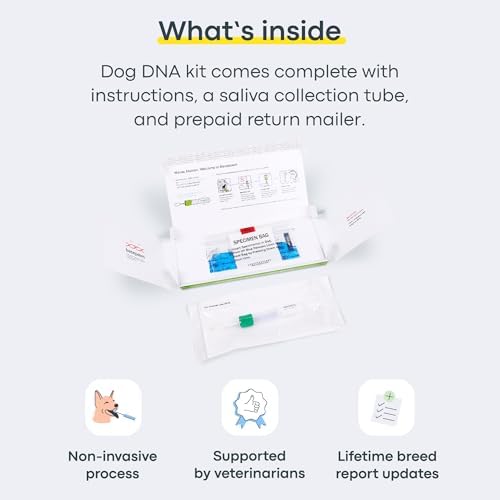 Basepaws Dog DNA Testing Kit - 300+ Breeds, 280+ Health Risks, and 30+ Traits - Comprehensive Mixed Breed Identification, Pet DNA Test kit, Canine Genetic Ancestry and Heritage