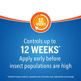 Cutter Backyard Bug Control Spray Concentrate, Mosquito Repellent, Kills Mosquitoes, Fleas & Listed Ants, 32 fl Ounce