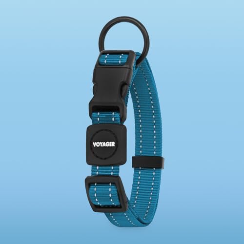 Voyager Reflective Dog Leash Collar Set with Neoprene Handle Supports Small, Medium, and Large Breed Puppies, Cute and Heavy Duty for Walking, Running, and Training - Turquoise, S