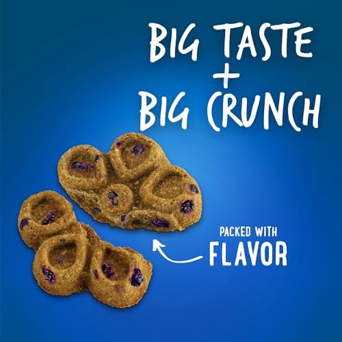 Fruitables Biggies Dog Biscuits – Crunchy Dog Biscuits Made with Pumpkin – Healthy Dog Treats Packed with Real Fruit Flavor – Free of Wheat, Corn and Soy – Pumpkin & Blueberry – 16 oz