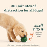 WOOF Pupsicle and Treat Tray - Long-Lasting Interactive Dog Toys for Boredom and Silicone Treat Mold for Dog Treats - Reusable, Dishwasher Safe - Dog Toys For Small Dogs 10-25 lbs