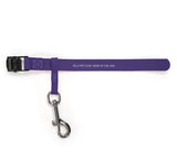 Jelly Pet Safety Tether for Table (Lime)