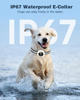 2-in-1 Dog Shock Collar & Dog Bark Collar - Smart Anti Barking Dog Training Collar with 5 Adjustable Sensitivity & 3300FT Remote for All Breeds IP67 Waterproof Rechargeable E-Collar (White)