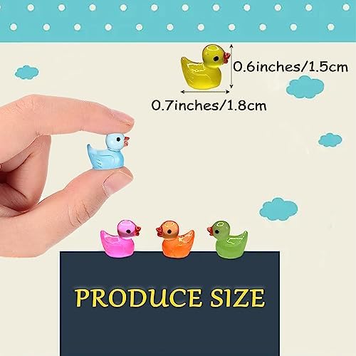 220 Pcs Mini Resin Ducks Luminous Tiny Ducks Miniature Duck Glow in The Dark for DIY Garden Dollhouse Duck Accessories Micro Landscape Aquarium Party Decor