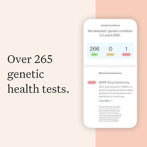 Wisdom Health Panel Premium Dog DNA Kit: Most Comprehensive with 265+ Health Tests, Identify 365+ Dog Breeds, 50+ Traits, Relatives, Ancestry, Genetic Diversity - Pack of 1