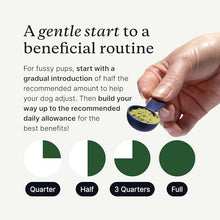 Load image into Gallery viewer, PetLab Co. ProBright Advanced Dental Powder - Dog Breath Freshener - Teeth Cleaning Made Easy – Targets Tartar &amp; Bad Breath - Packaging May Vary - Formulated for Large Dogs
