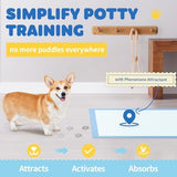 100-Pack X-Large Puppy Pads - 34'' x 28'' Pee Pads for Dogs Potty Training with Leak-Proof Quick-Dry Design, 6-Layer Wee Wee Pads for Dogs