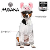 Disney Moana: Pua Pet Costume for For Dogs or Cats by Rubies, Medium