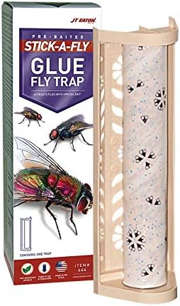 JT Eaton 444 Pest Catcher Fly Trap, Non-Toxic Indoor and Outdoor Fly Traps, White, Pack of 12